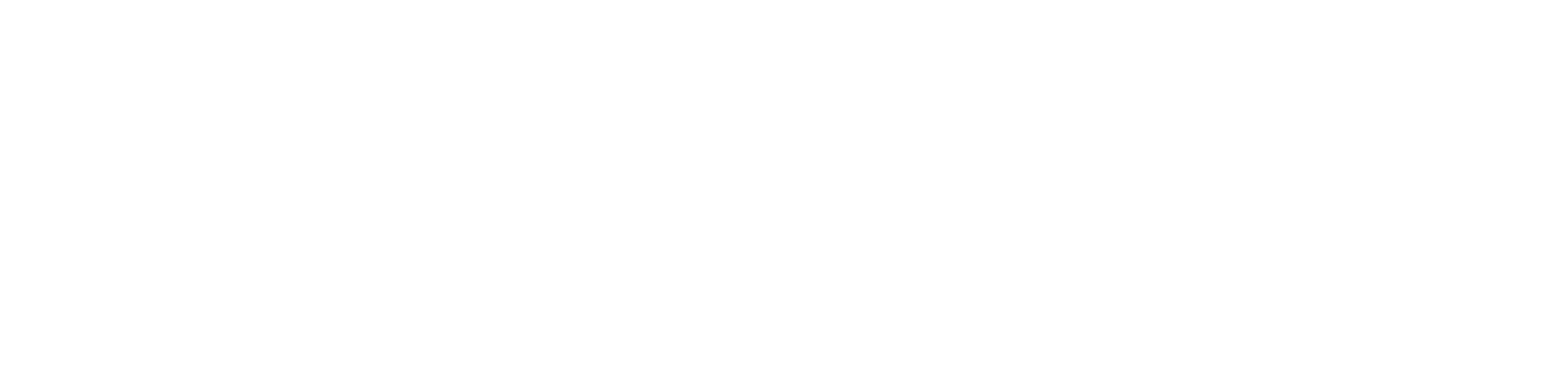 Radim greba logotyp white